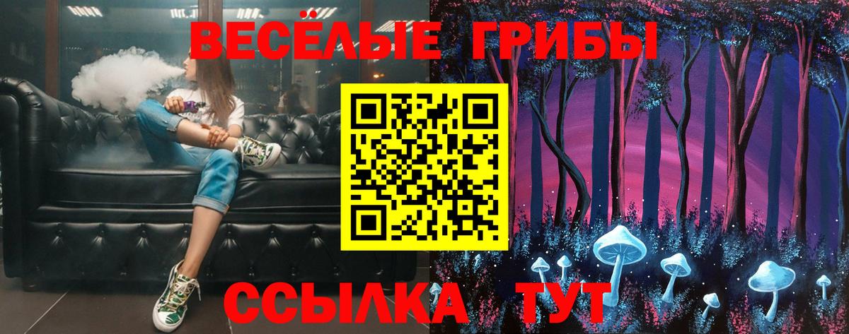 Сергиев Посад  Галлюциногенные грибы прущие грибы  Вход с VPN 